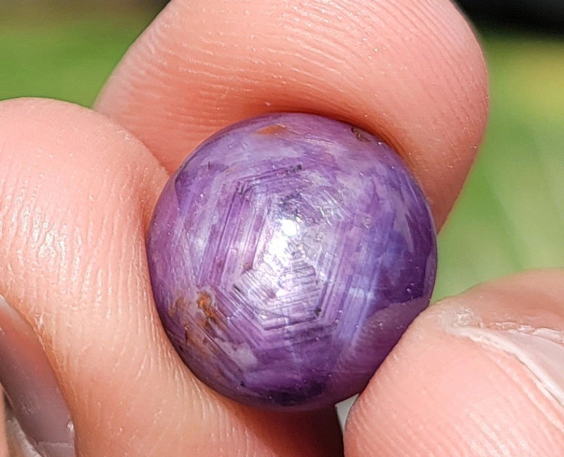 Ruby Trapache 12.00 cts