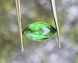 Tsavorite Garnet 0.83 Carat