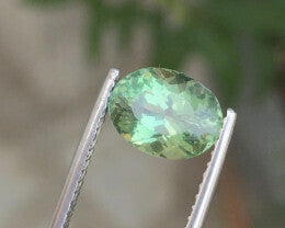 Peridot 3.21 cts