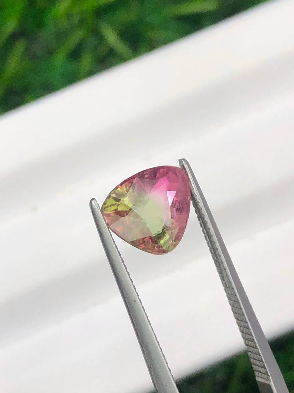 TOURMALINE WATERMELON 1,55CTS