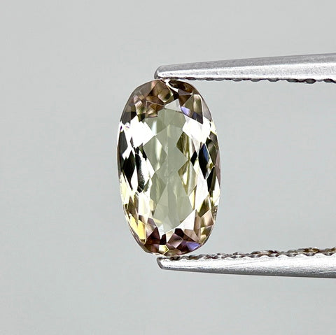 Tanzanite Natural Unheated Bi Color 1.06 Cts.