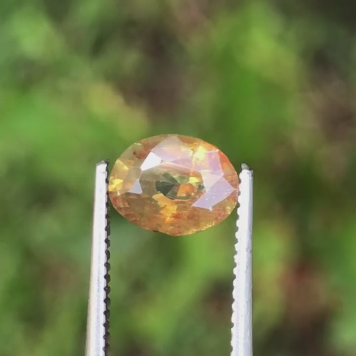 Zircon 0.350 Carat Orange Color