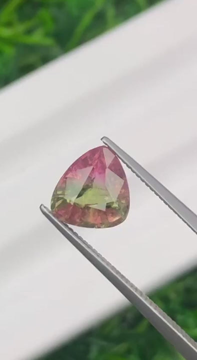 TOURMALINE WATERMELON 1,55CTS