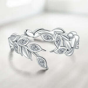 Silver Earrings-Combines Elegance With Modernity