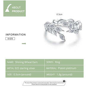 Silver Earrings-Combines Elegance With Modernity