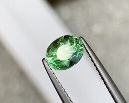Tsavorite 1.05 Carat