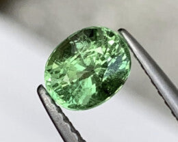 Tsavorite 1.05 Carat
