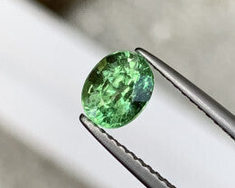 Tsavorite 1.05 Carat