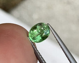 Tsavorite 1.05 Carat