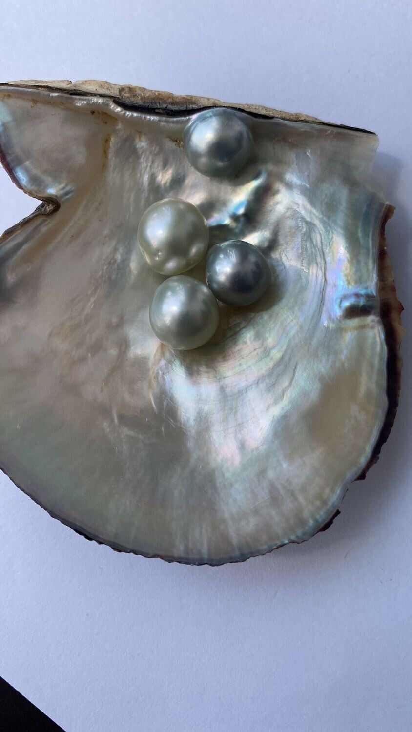 Pearl Natural Beauty-Rare Natural Pearl